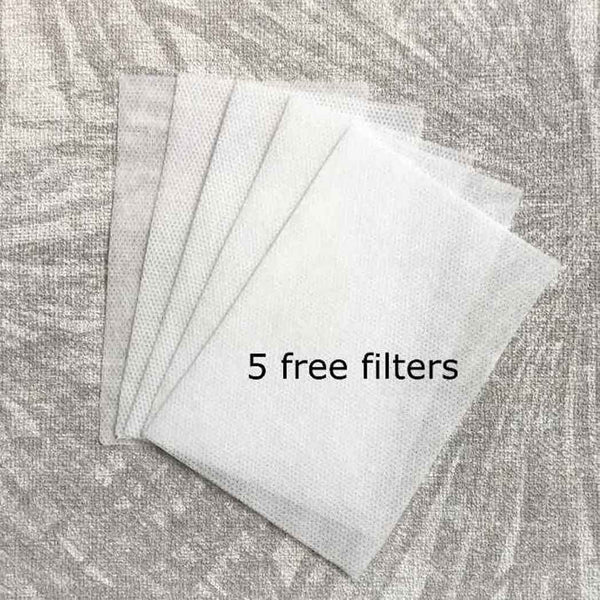 5 filters to go inside the face mask